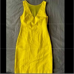 Small Zara Yellow Fitted Dress